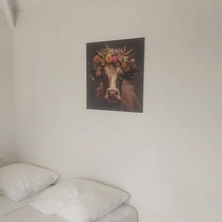 Camping Recreatie Aan De Vecht, Hooibergje 2,